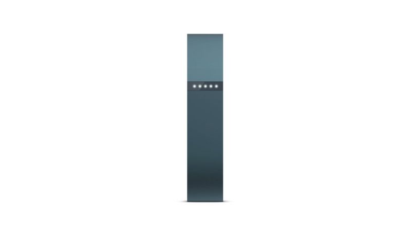 Fitbit Flex review