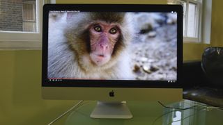iMac snow monkey