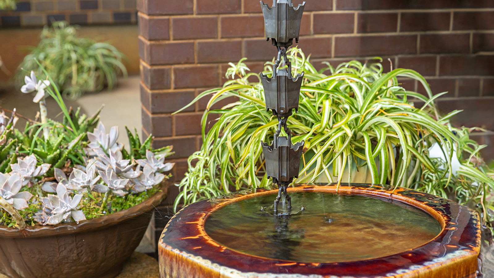 Rain chain leading into water feature