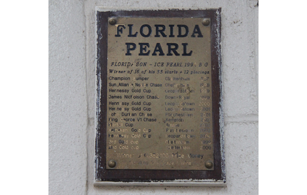 18 Florida Pearl
