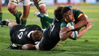 South Africa&#039;s Grant Williams dives across the line to score a try against New Zealand in their August 2024 Rugby Championship match.