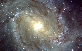Messier 83 - Central region