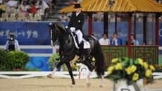 Blue-Hors-Don-Schufro-DSC_0025-210.jpg