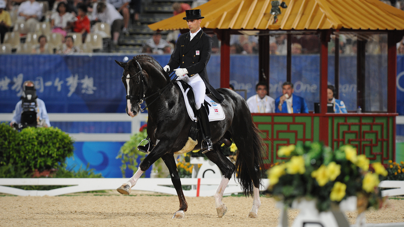 Blue-Hors-Don-Schufro-DSC_0025-210.jpg