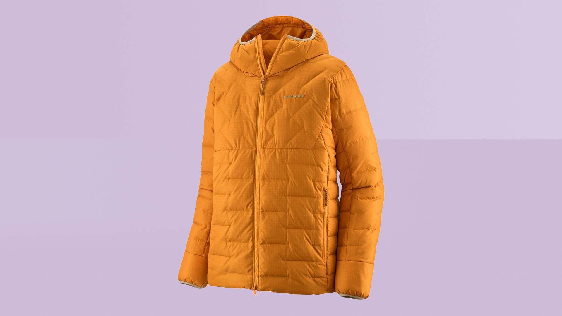 Patagonia Durable Down Hoody