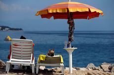 A dog is seen at dog beach and bar in Crikvenica, Croatia, July 12, 2016. 