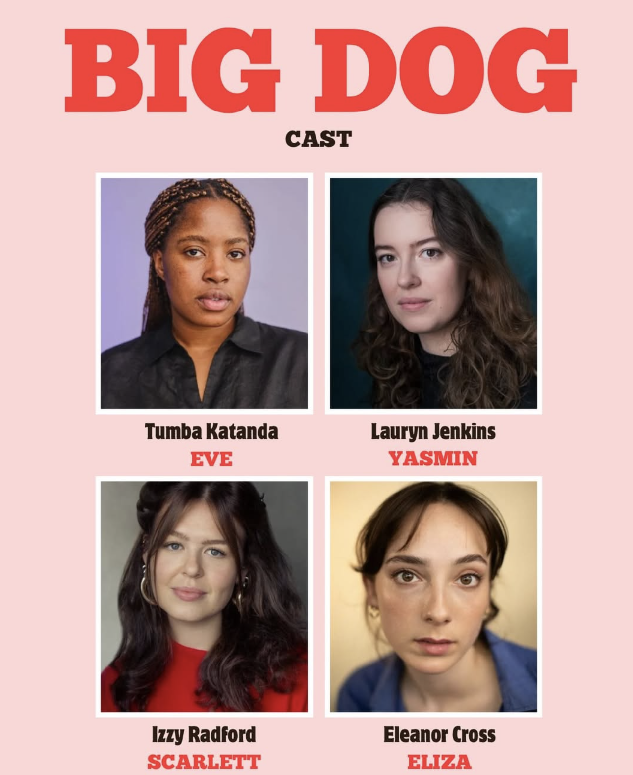 an image of the cast in big dog