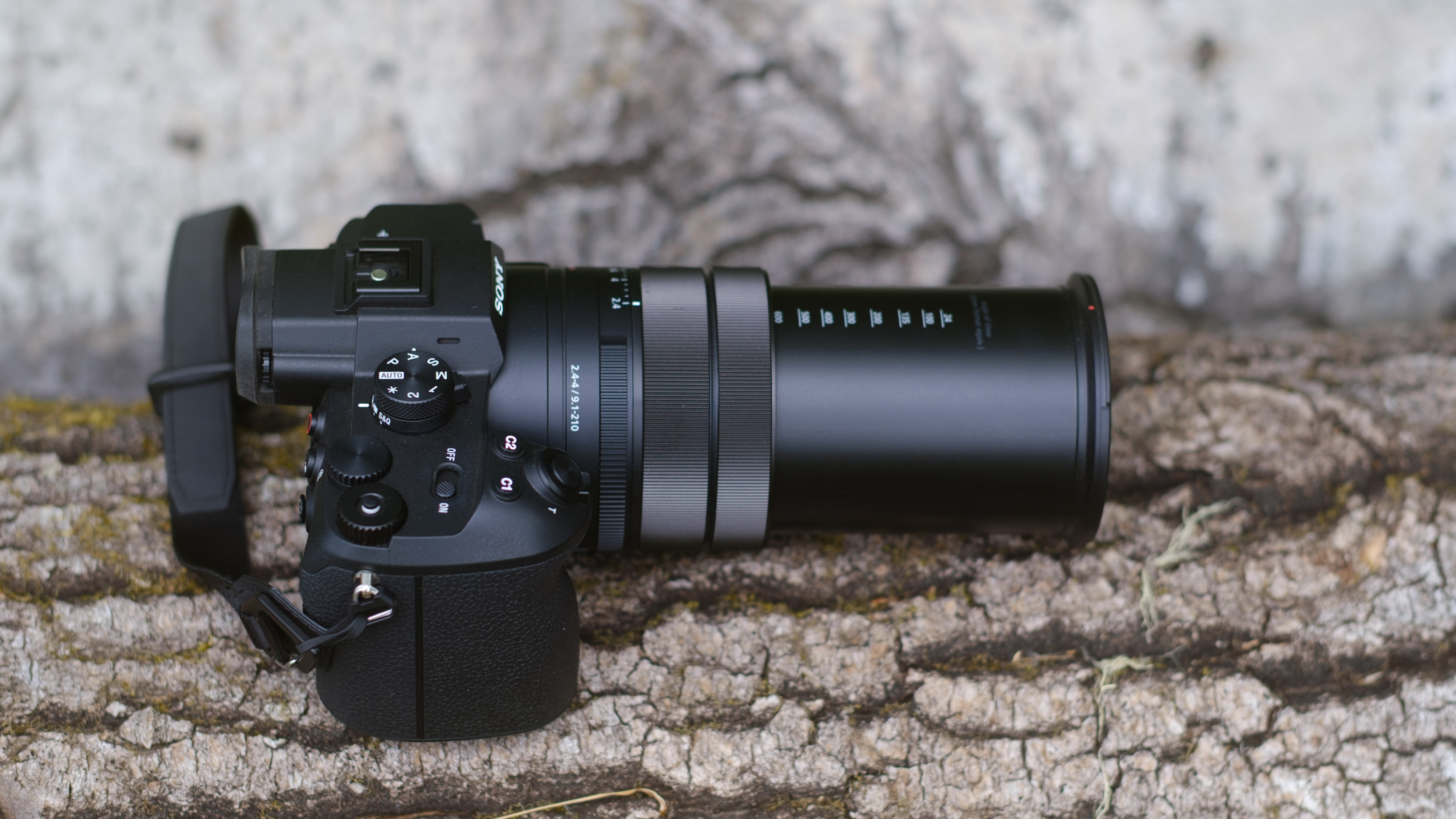 The Sony RX10 photographed outdoors