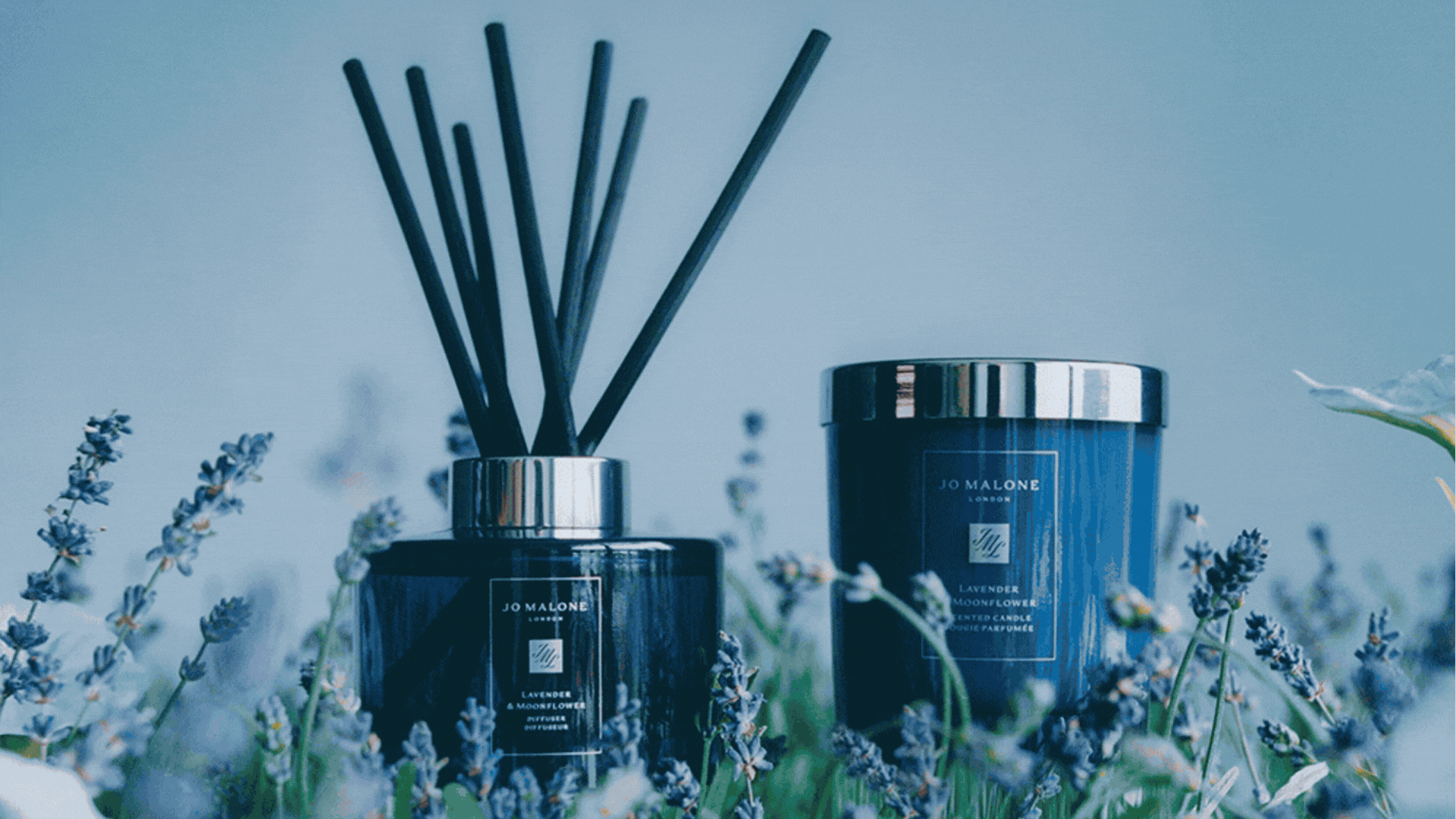 A GIF of calming home fragrance from Jo Malone London, Zesty Lemons, Plum & Ashby, Trudon, and Diptyque