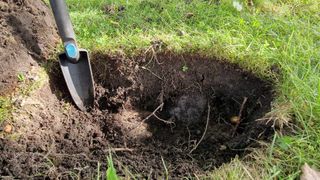 A hand trowel rests next to a dirt hole made in fresh, green grass.