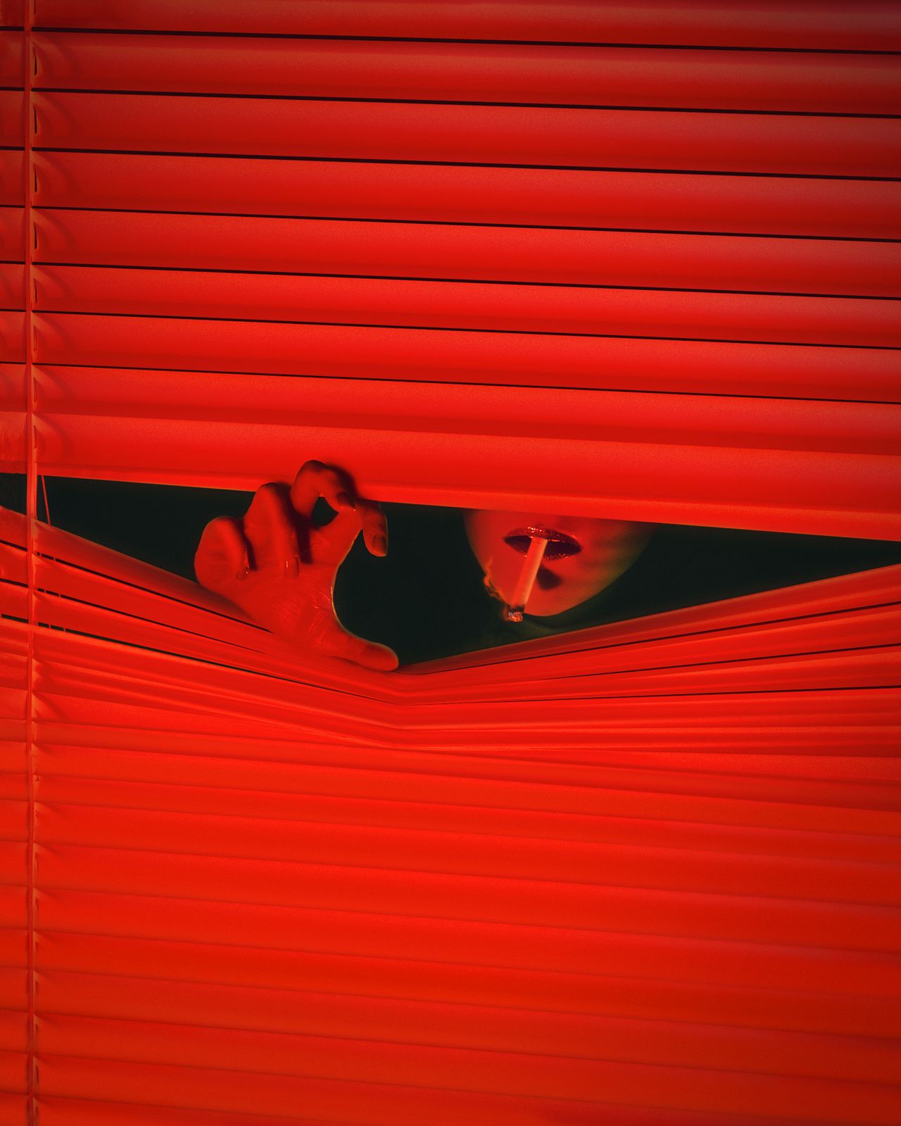 The Virtual Photography Awards for 2025