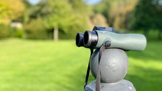 Swarovski NL Pure 10x42 binoculars