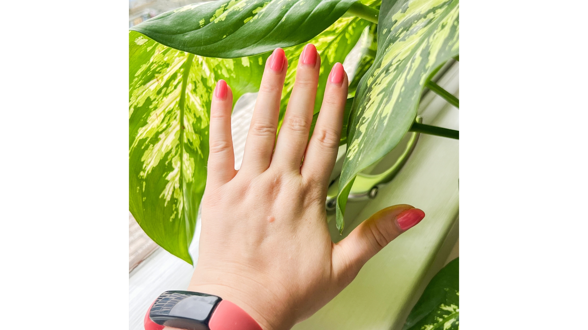 A close-up of Contributing Beauty Writer Becky Spicer’s hand, pictured with a bright pink oval manicure in front of a green plant