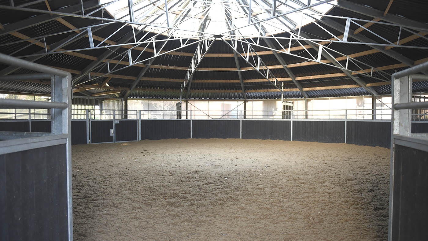 Breen Stud visit at Hickstead December 2018