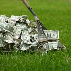 raking in the dough on a lawn with dollar notes