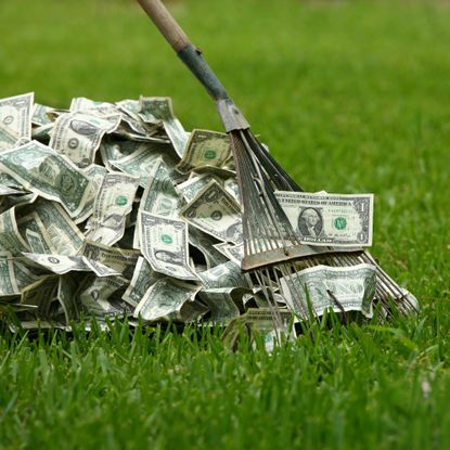 raking in the dough on a lawn with dollar notes