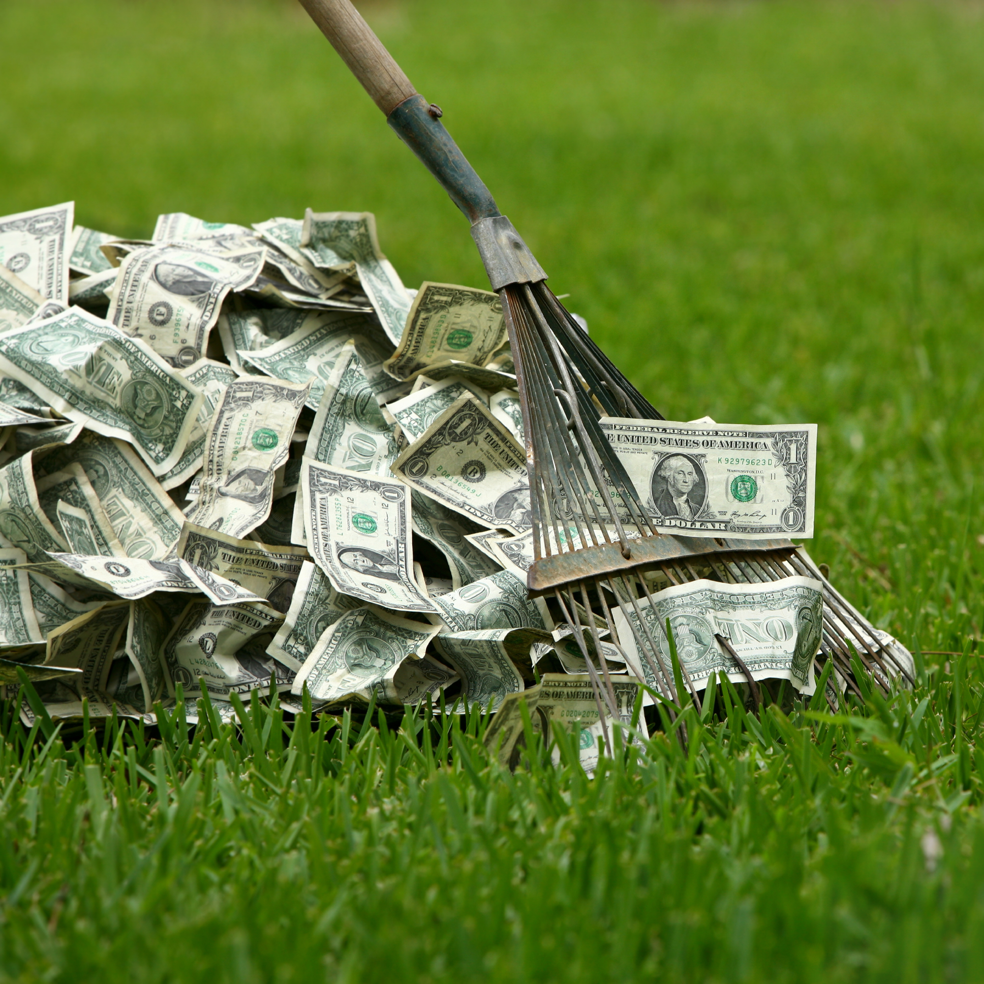 raking in the dough on a lawn with dollar notes