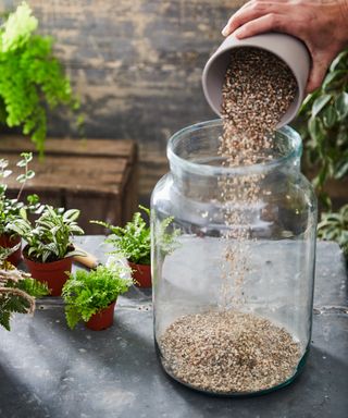 Adding gravel to the base of a large glass jar terrarium
