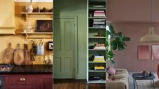 yellow wall in kitchen with shelving and eclectic decor with burgundy cabinets, green room with shelving unit, pink living room with houseplant and pendant light