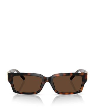 Tortoiseshell Sunglasses