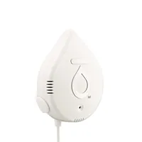 Moen Flo Smart Water Detector