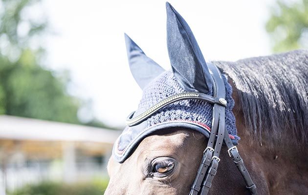 Premier Equine Fly Veil review