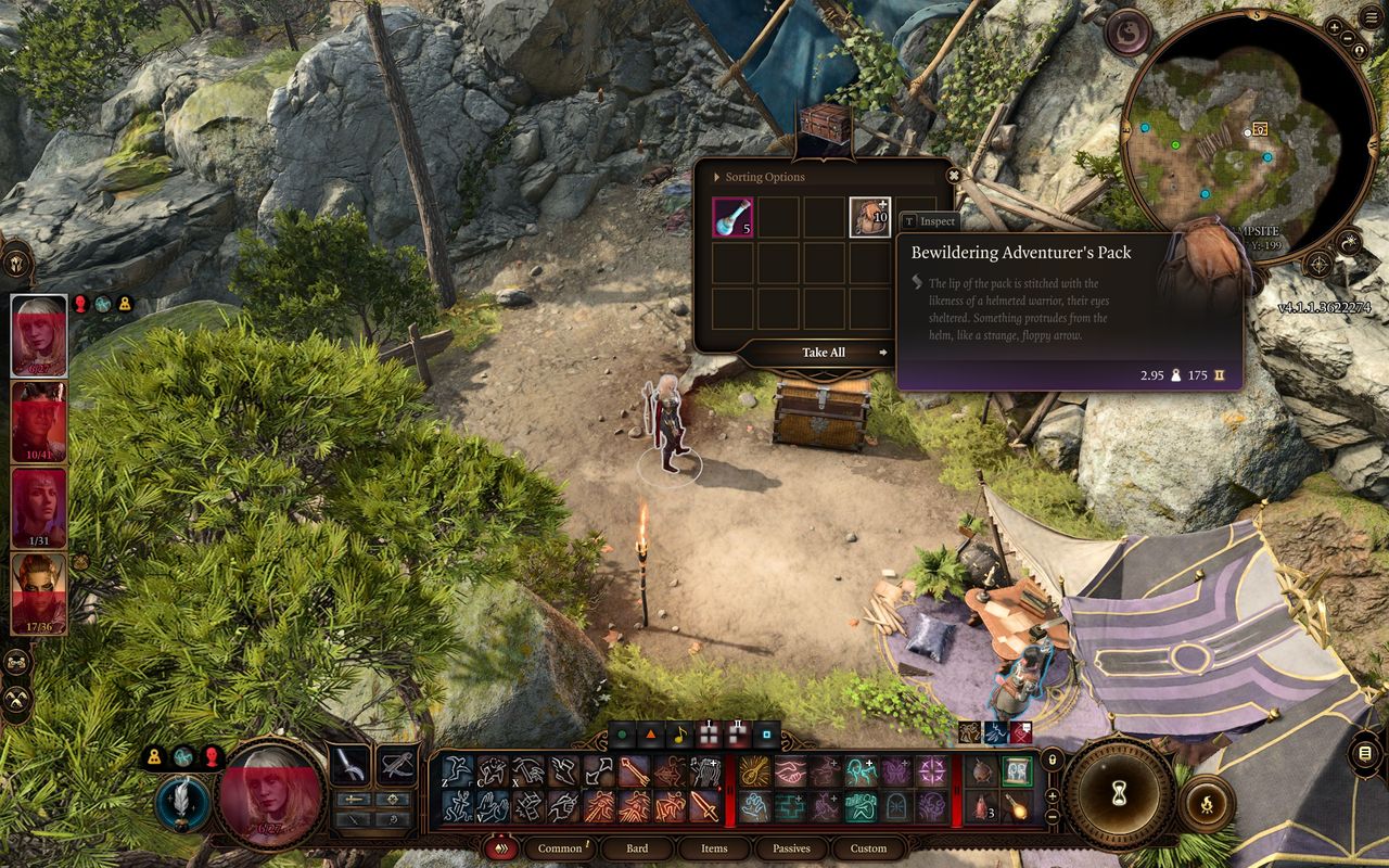 looking the bewildering adventurer's pack