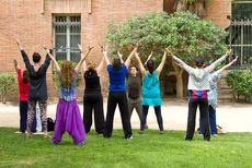 exercise, tai chi, falun gong
