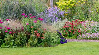 Colourful garden with lots of flowers