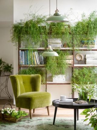 Houseplants - Living room feng shui ideas
