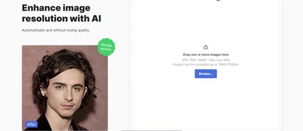 Website screenshot for Icon8