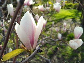 BlackBerry KEYone sample photo