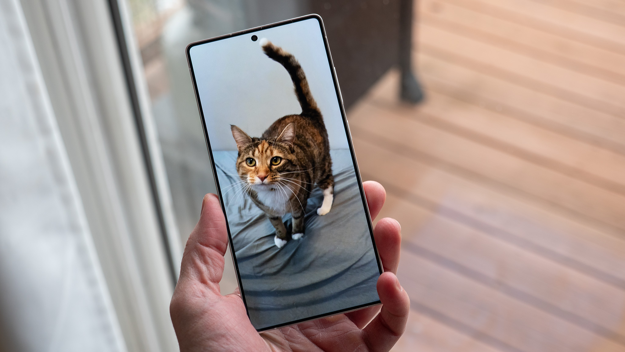 A photo of a cat taken with a Samsung Galaxy S25 Ultra