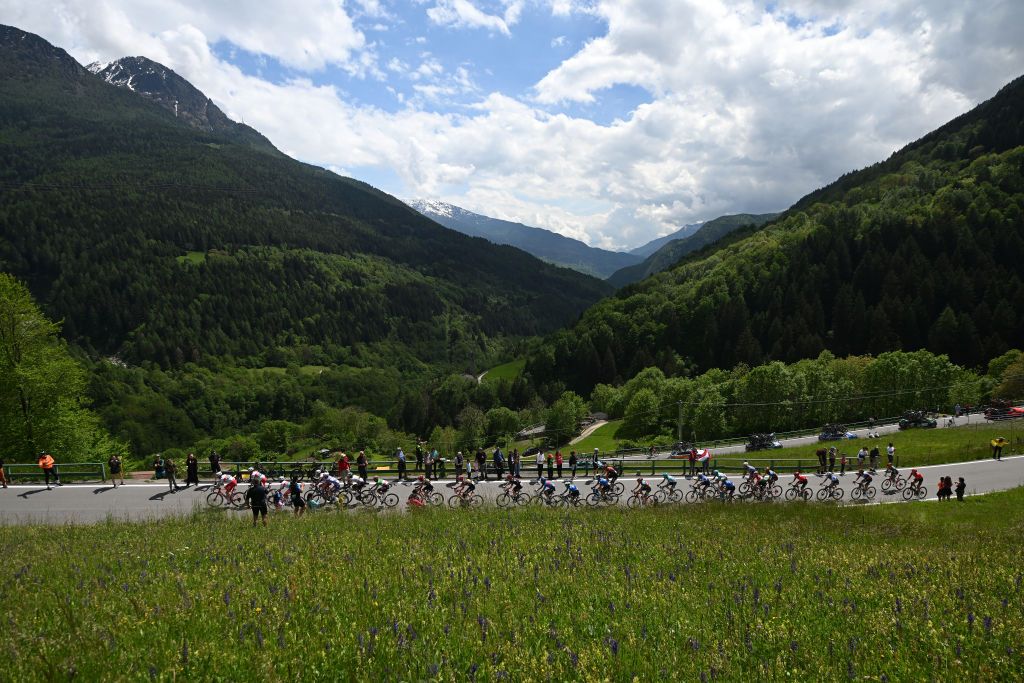LIVIGNO MOTTOLINO ITALY MAY 19 Simon Geschke of Germany and Team Cofidis Blue Mountain Jersey Nairo Quintana of Colombia and Movistar Team Juan Pedro Lopez of Spain and Team Lidl Trek Jhonatan Narvaez of Ecuador and Team INEOS Grenadiers Julian Alaphilippe of France and Team Soudal QuickStep Michel Ries of Luxembourg and Team Arkea BB Hotels Georg Steinhauser of Germany and Team EF Education EasyPost and a general view of the chase group climbing to the Passo del Mortirolo 1854m during the 107th Giro dItalia 2024 Stage 15 a 222km stage from Manerba del Garda to Livigno Mottolino 2387m UCIWT on May 19 2024 in Livigno Mottolino Italy Photo by Dario BelingheriGetty Images