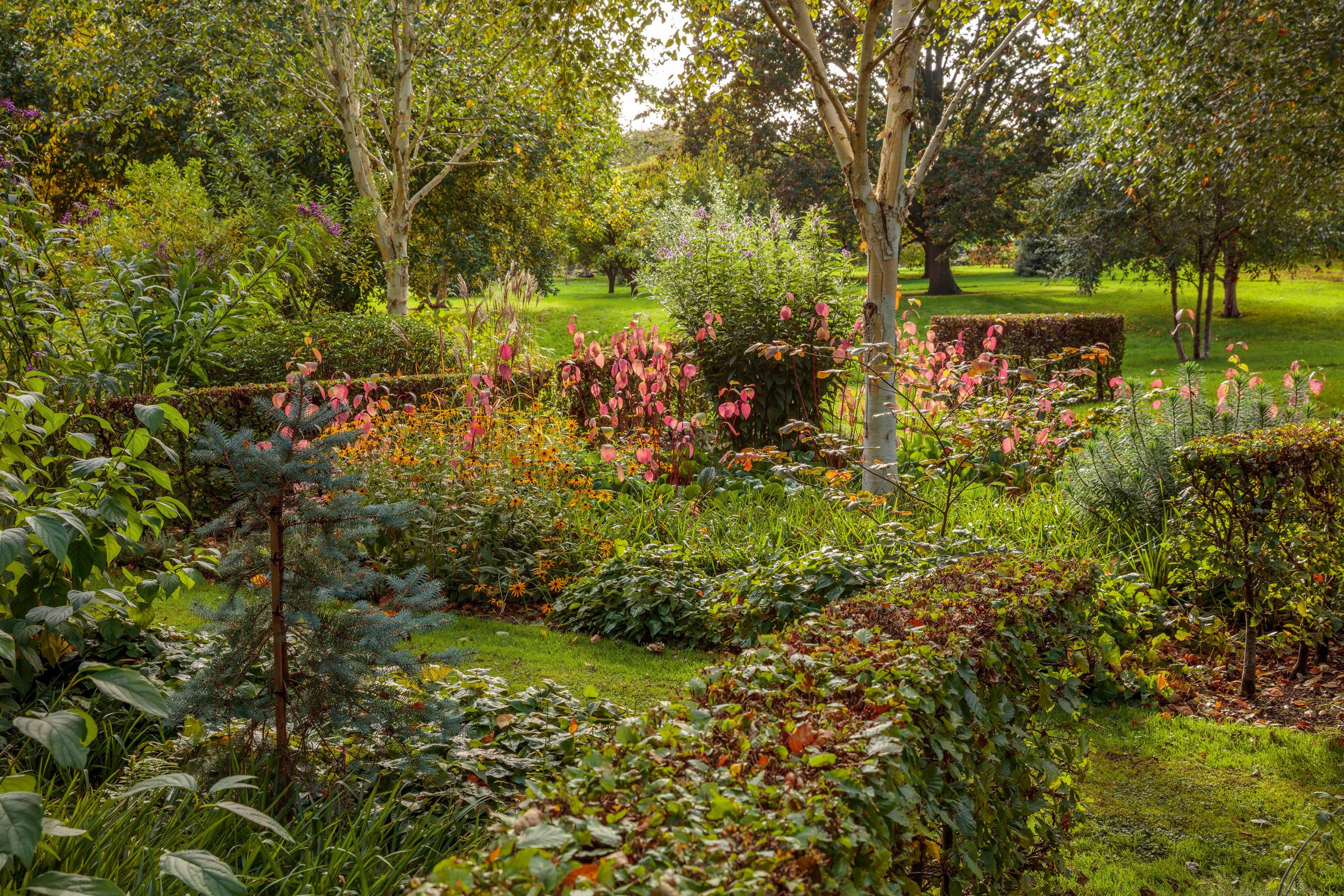 Garden at Littlethorpe Manor