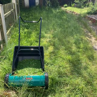 Bosch AHM 38G manual lawn mower on a lawn with long grass and a full grass box