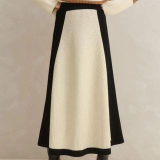 Merino Cashmere Contrast Panel A-Line Skirt