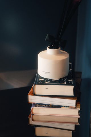 A diffuser on a stack of books