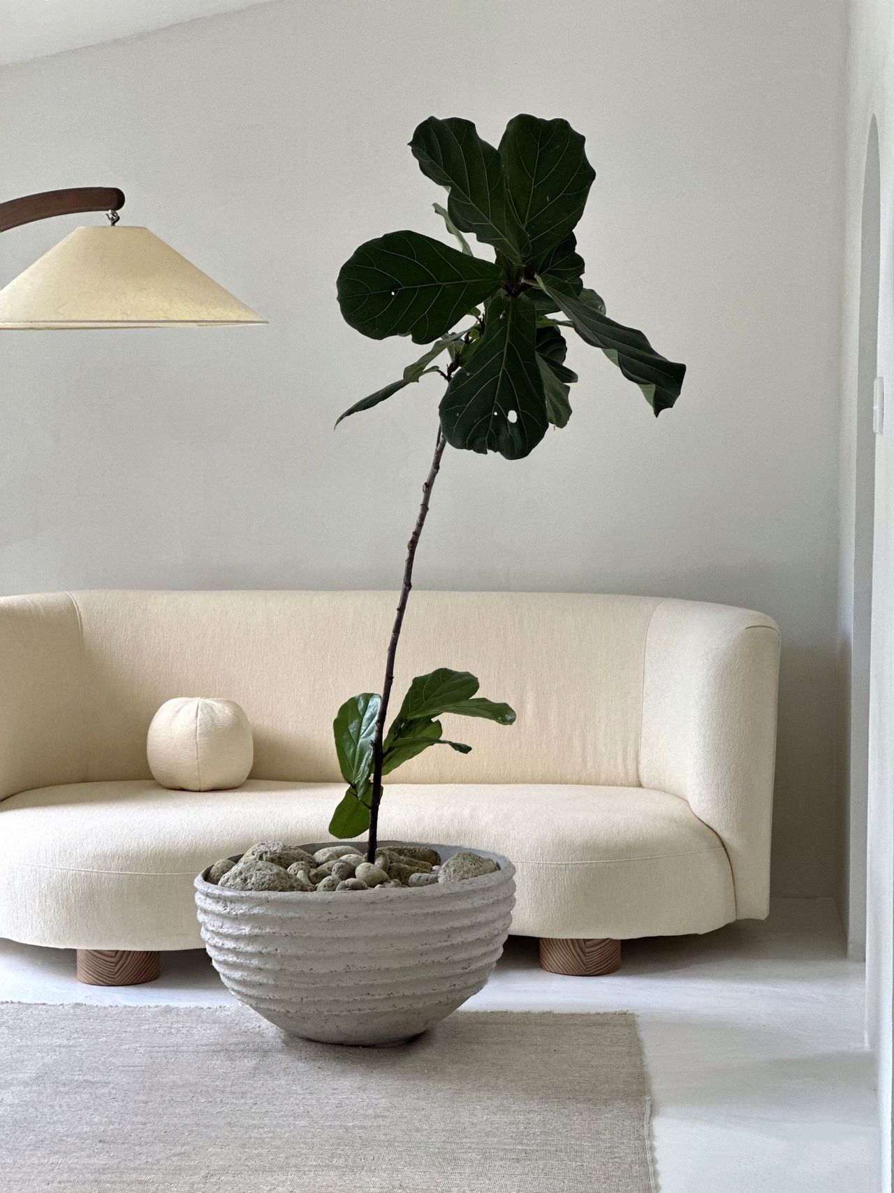 A living room with a curved cream sofa and a cement planter with a houseplant in the center