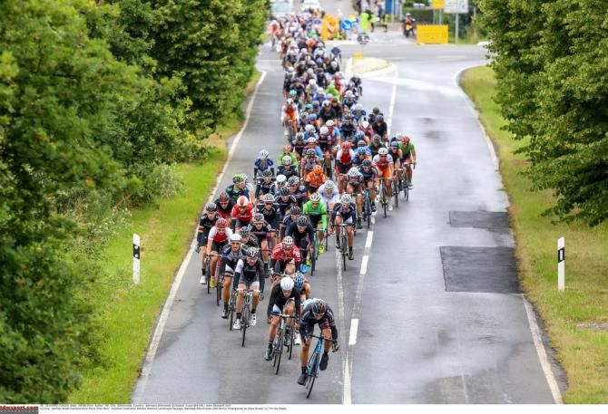 The peloton navigates a wet section of road