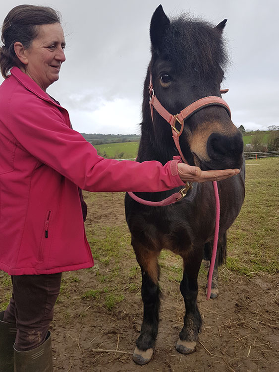 Lexie_Credit Mare and Foal Sanctuary