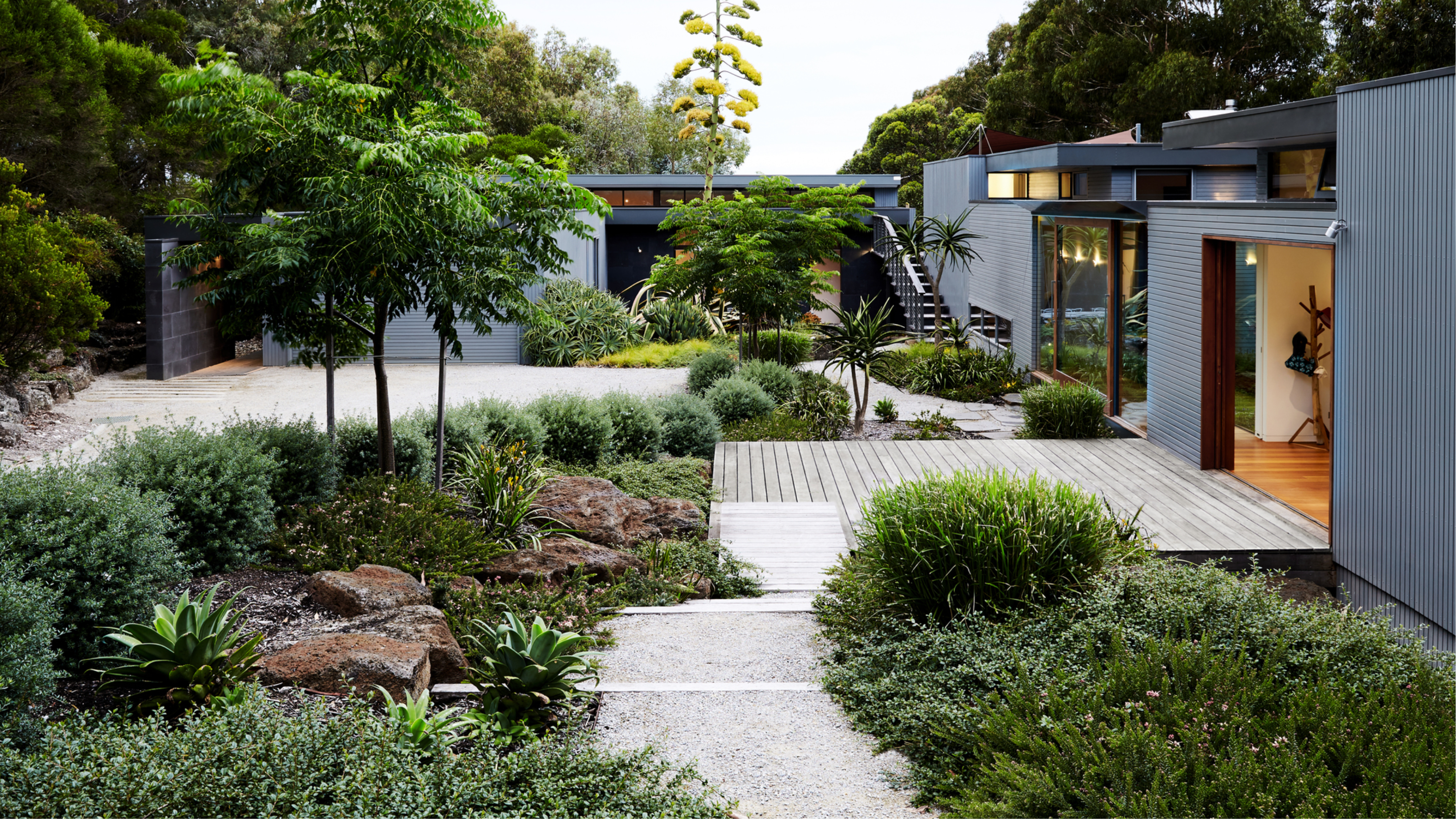 A front yard path marked out with rocks trees and hedges