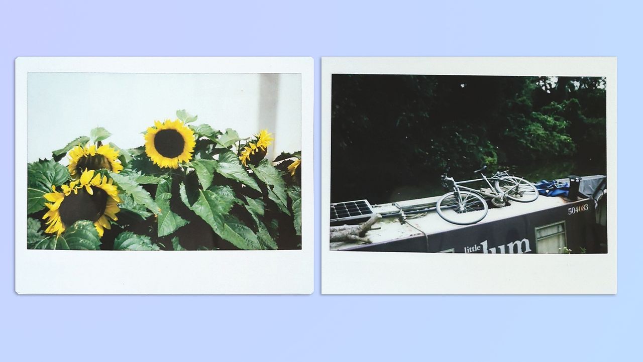 A compilation of photos of nature and streets in Bath, UK, taken on a Fujifilm Instax Wide 400 instant camera