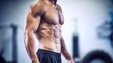Man standing with top off showing muscled torso 