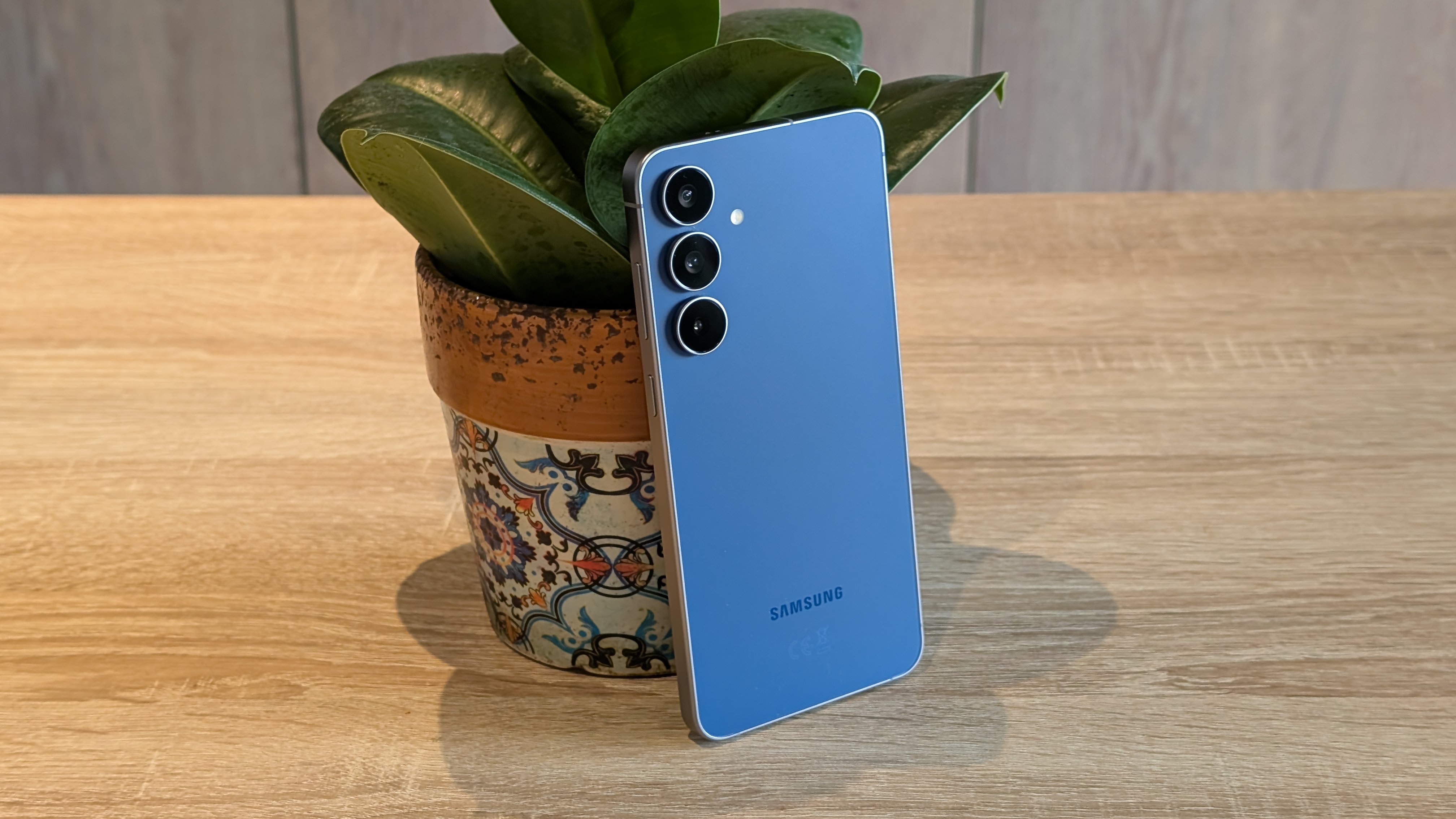 Samsung Galaxy S25 FE