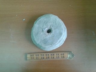 A disc-shaped concretion found off the Greek island of Zakynthos.