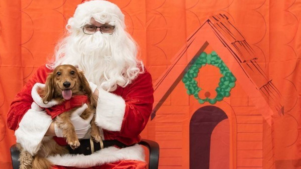 PetSmart are offering free pet photos with Santa this holiday season