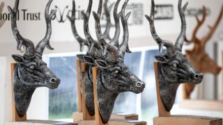 The Ex Enduro stag head trophies lined up ready to be awarded