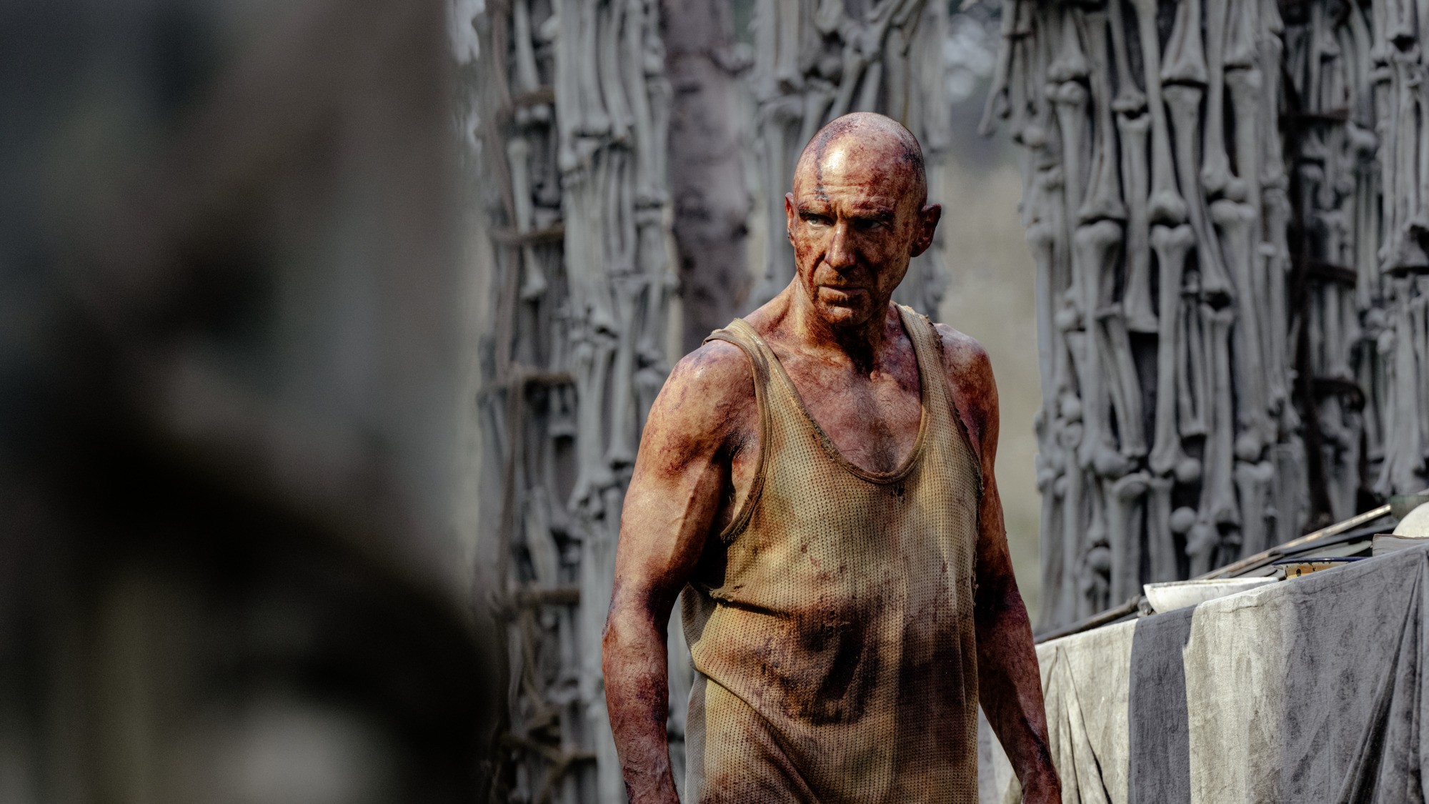 Ralph Fiennes in 28 Years Later