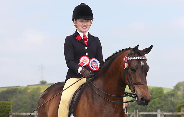 SHOW PONY CHAMPIONSHIP CHAMPION 345 THIRKLEBY CATKIN R: Victoria Harker